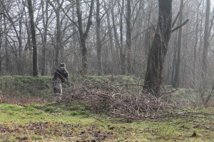 IMG_4397